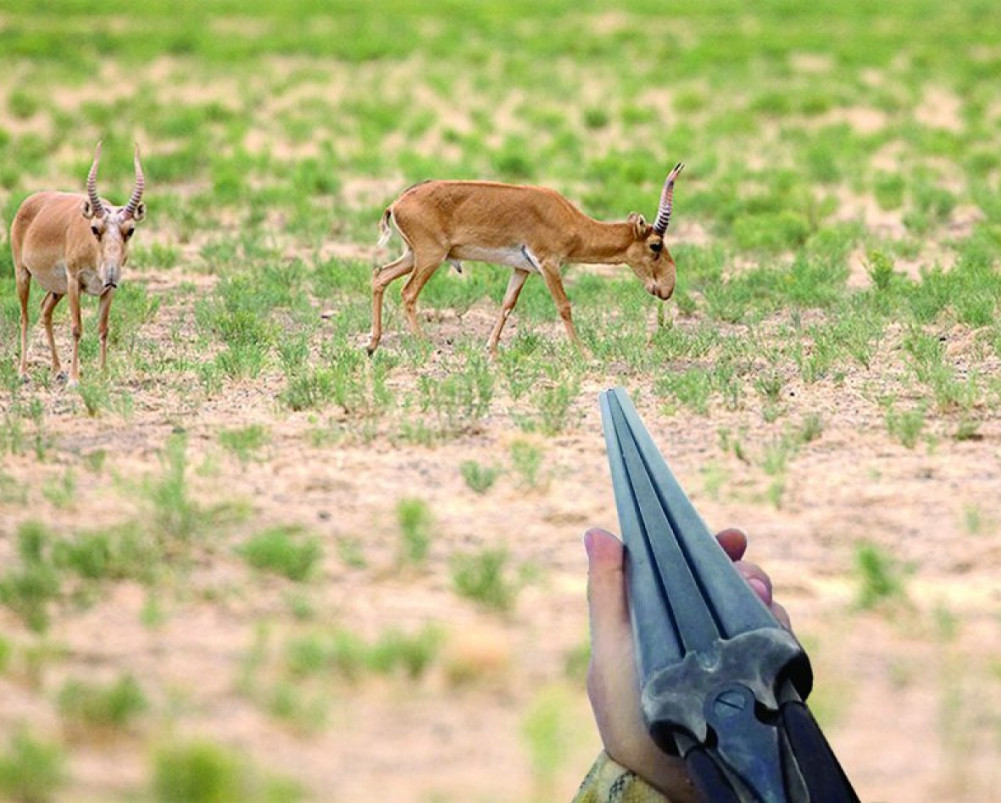 Ауылда бір əйелді кезекпен сиқылайды