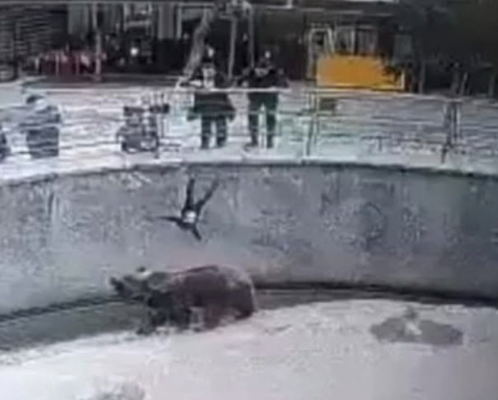 Фотосуреттер галереясы модацки және сексуалды әйел