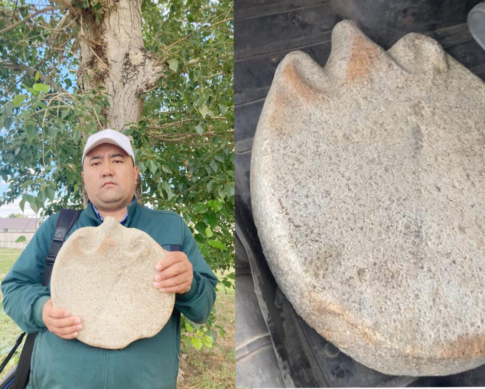 Мүйіздің жынысы